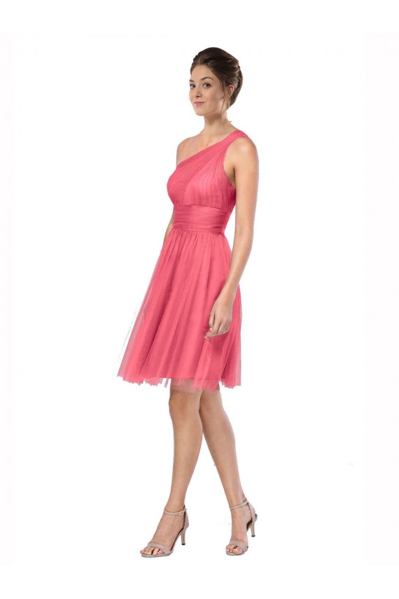Melancia Um Ombro Sem Mangas Linha A Vestidos de Madrinha Online